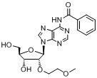 N6-苯甲?；?2'-O-(2-甲氧基乙基)腺苷